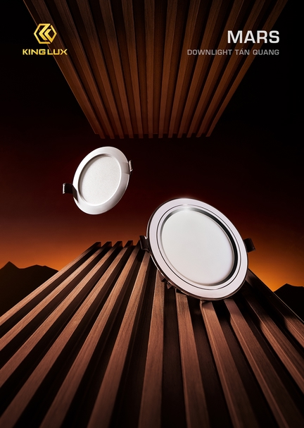 DOWNLIGHT Tán Quang